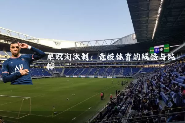 单败淘汰制：竞技体育的残酷与纯粹